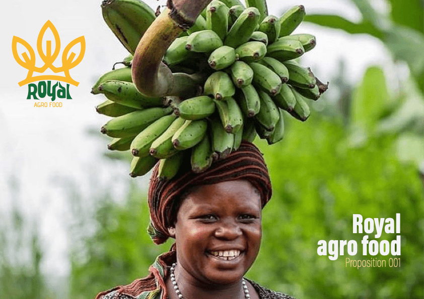 Royal Agro Food logo proposition visual