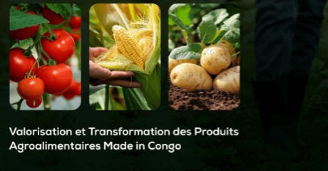 Royal Agro Food product inspiration
